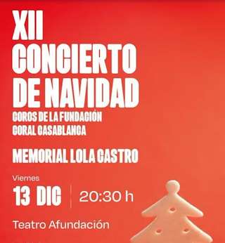 Fechas, información, programa, cartel, imágenes, mapa y ubicación de XII Concierto de Navidad - Memorial Lola Castro  en  Vigo