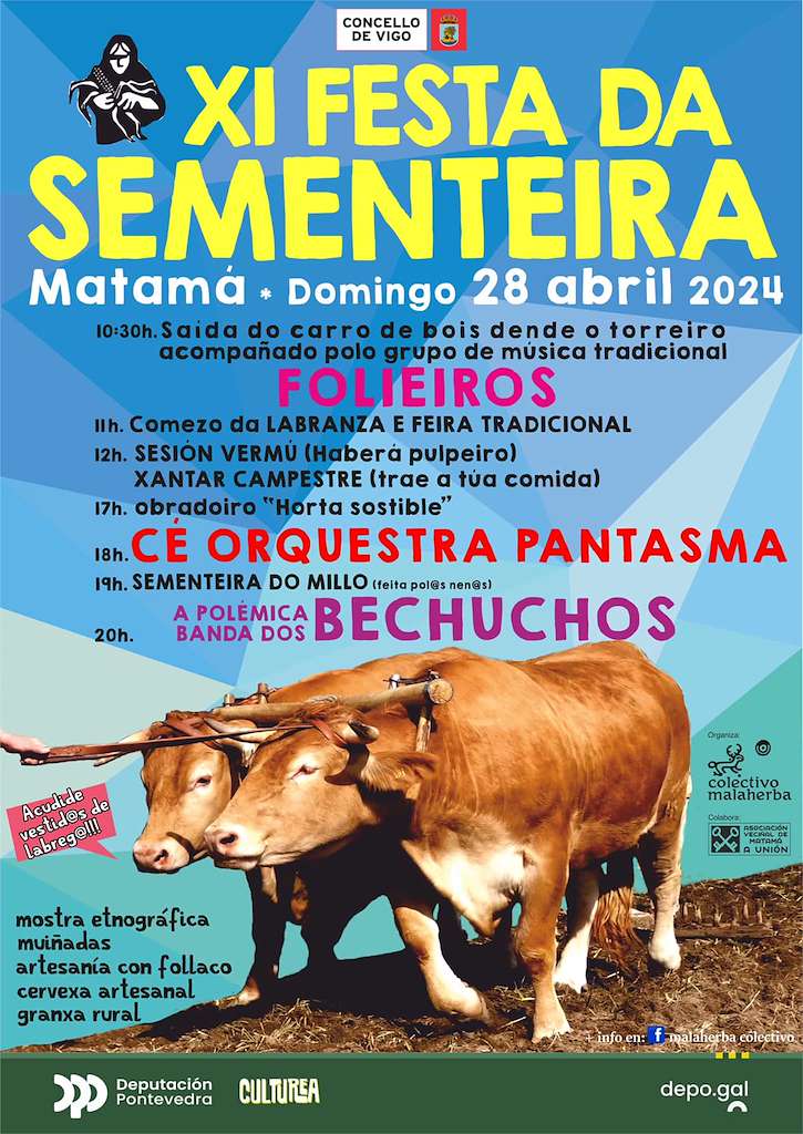 XI Festa da Sementeira do Millo de Matamá (2024) en Vigo