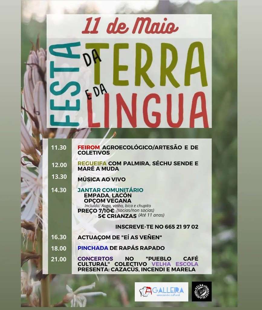 Festa da Terra e da Lingua (2024) en Ourense