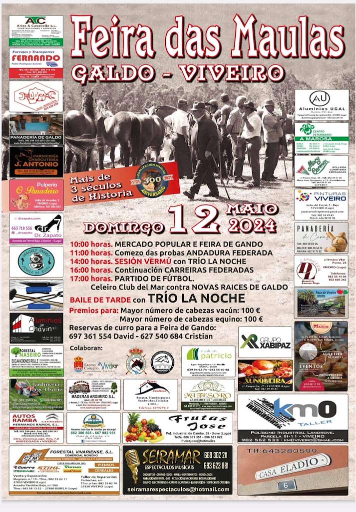 Festa das Maulas (2024) en Viveiro