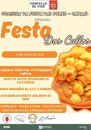 Fechas, información, programa, cartel, imágenes, mapa y ubicación de Festa dos Callos de Cabral  en  Vigo