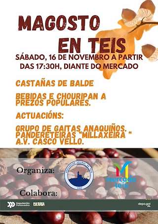 Fechas, información, programa, cartel, imágenes, mapa y ubicación de Magosto do Mercado de Teis  en  Vigo