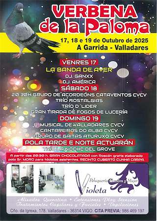 Fechas, información, programa, cartel, imágenes, mapa y ubicación de Verbena de la Paloma de A Garrida (2025)  en  Vigo