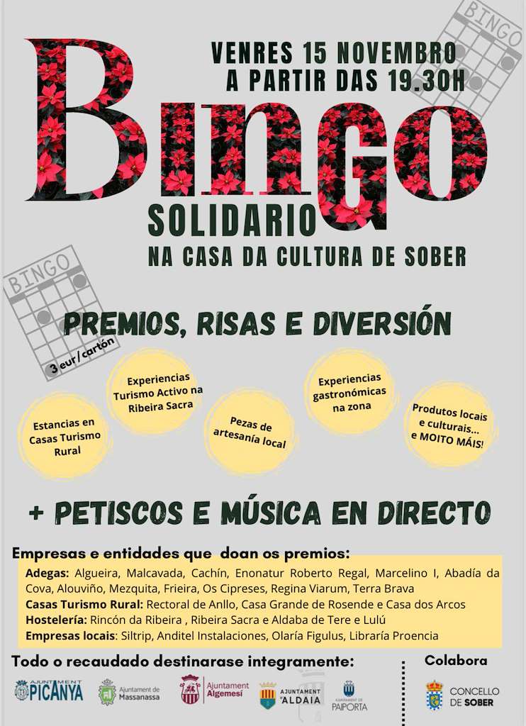 Bingo Solidario  (2024) en Sober