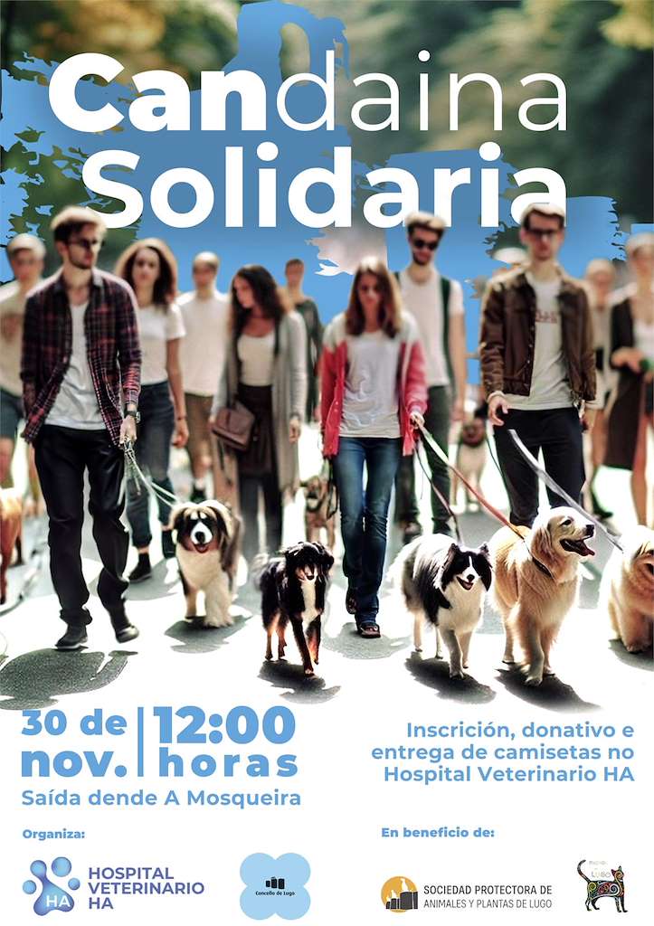 Candaina Solidaria (2024) en Lugo