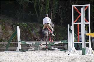 Fechas, información, programa, cartel, imágenes, mapa y ubicación de Club Hípico Santiago de Compostela