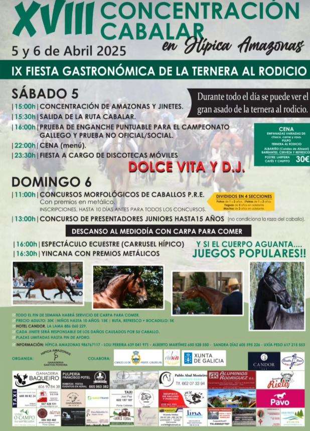 XVIII Concentración Cabalar e IX Festa Gastronómica da Terneira ao Rodicio (2025) en Ponte Caldelas