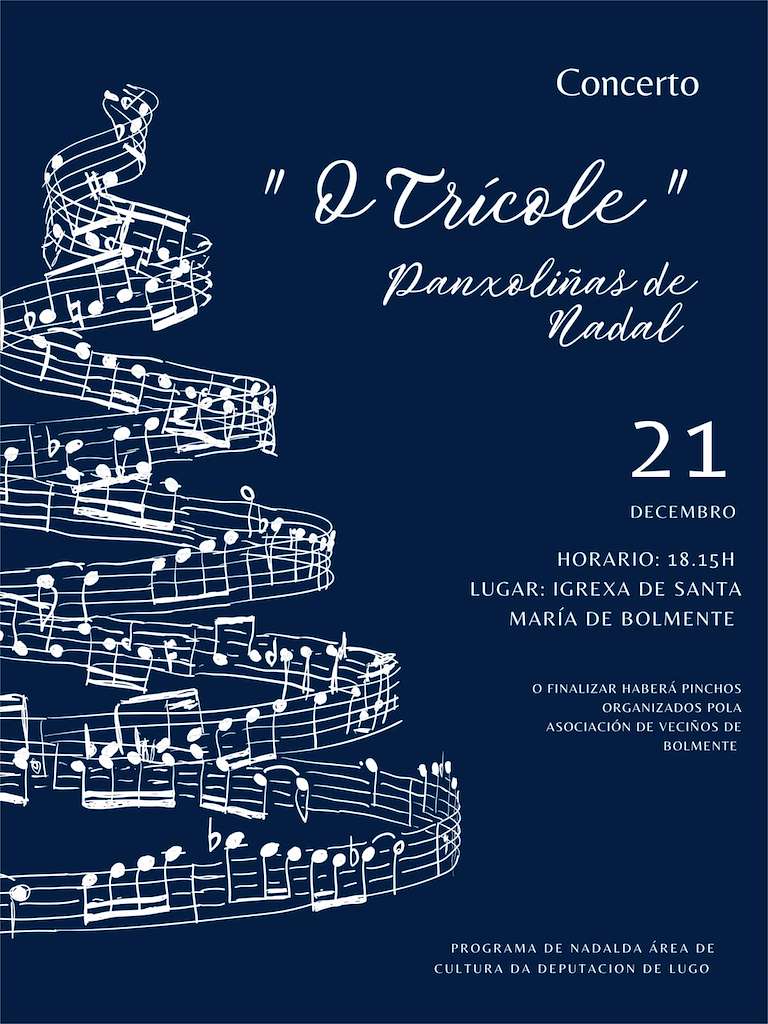 Concerto Panxoliñas de Nadal (2024) en Sober