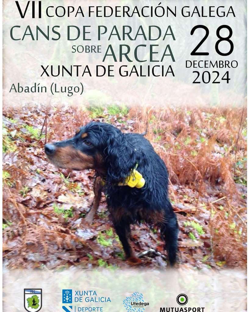 VII Copa Federación Galega Cans de Parada Sobre Arcea (2024) en Abadín