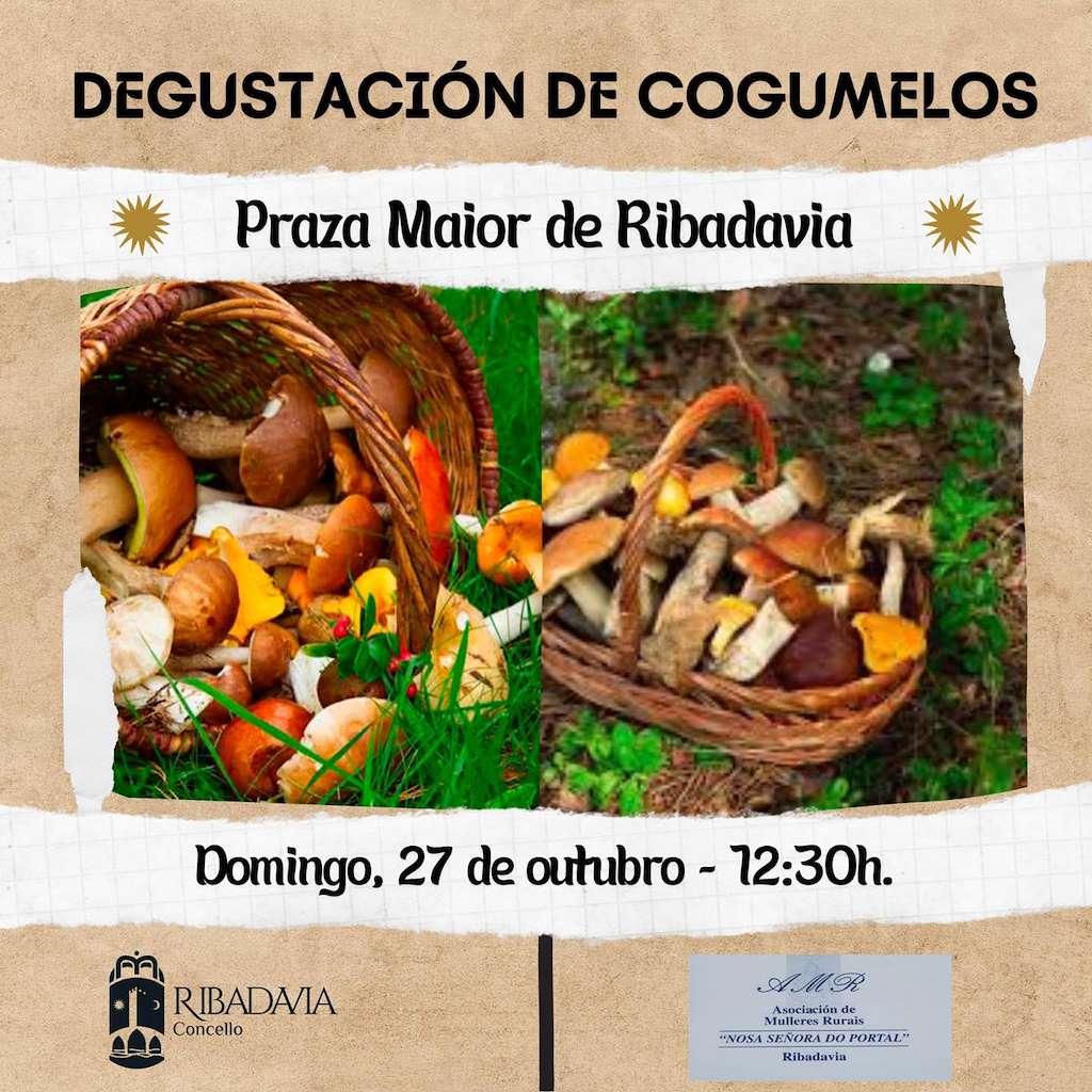 Degustación de Cogumelos en Ribadavia