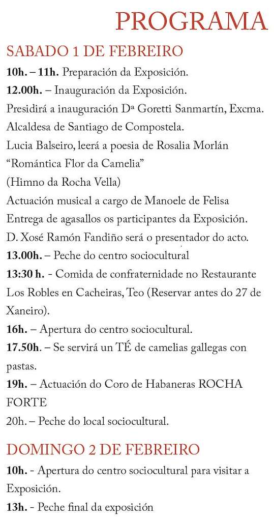 XIV Exposición da Camelia na Rocha Vella (2025) en Santiago de Compostela