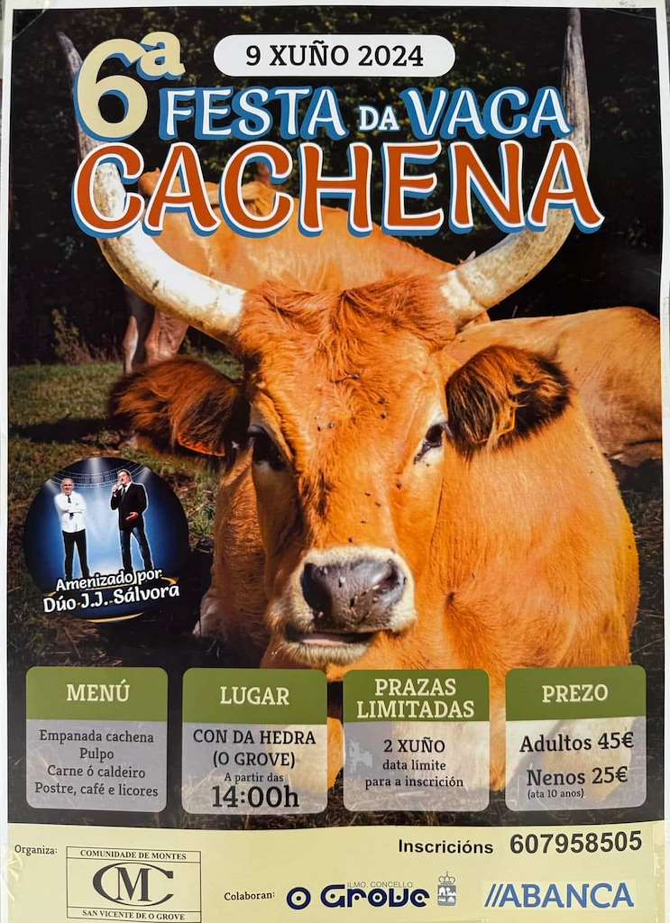 VI Festa da Vaca Cachena  (2024) en O Grove