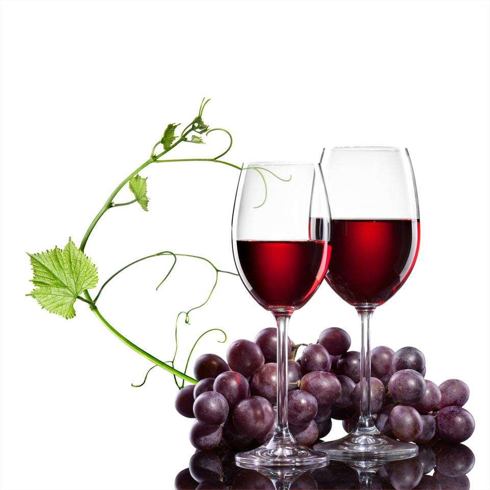 XI Festa do Viño en Vilaboa