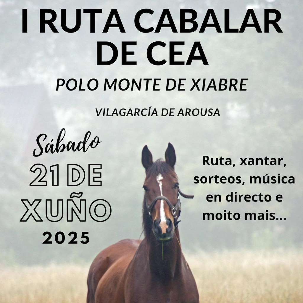 I Ruta Cabalar de Cea  (2025) en Vilagarcía de Arousa