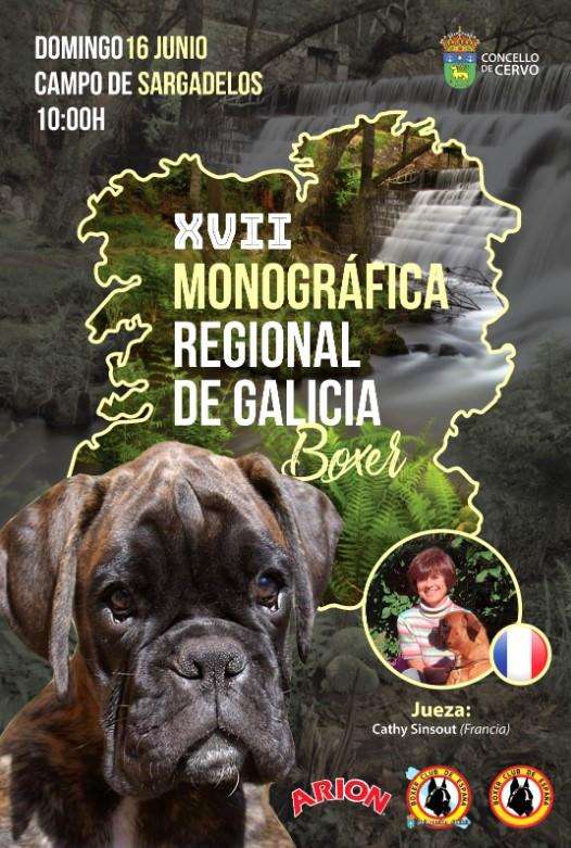 XVII Monográfica Regional de Galicia de Bóxer en Cervo