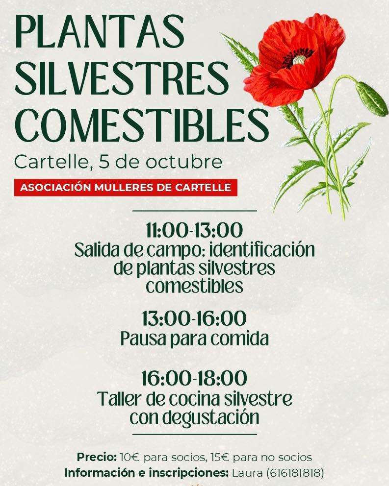 Plantas Silvestres Comestibles en Cartelle