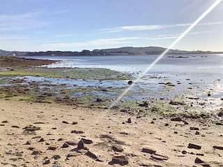 Fechas, información, programa, cartel, imágenes, mapa y ubicación de Playa Ganchino  en  Cambados