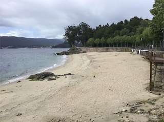 Fechas, información, programa, cartel, imágenes, mapa y ubicación de Playa Portocelo  en  Marín