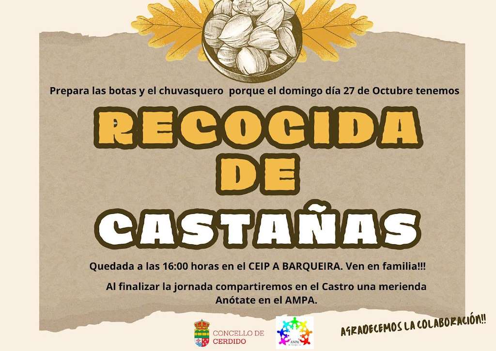 Recogida de Castañas (2024) en Cerdido