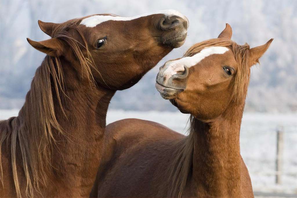 Ruta Cabalar e Andaina Monte Acibal (2025) en Moraña