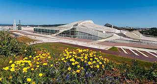 Fechas, información, programa, cartel, imágenes, mapa y ubicación de Senda Bosque de Galicia > Cidade da Cultura > Parque do Lago  en  Santiago de Compostela