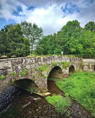 Fechas, información, programa, cartel, imágenes, mapa y ubicación de Senda Río Sar > Bosque do Banquete de Conxo  en  Santiago de Compostela