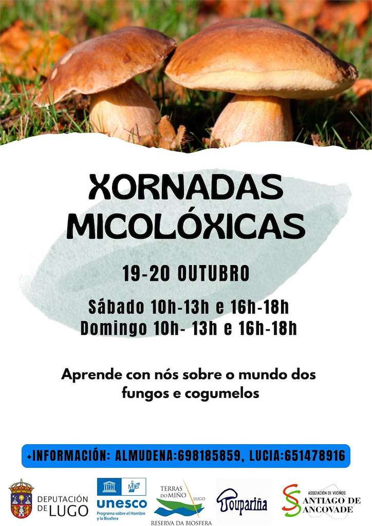 Xornadas Micolóxicas de Sancovade (2024) en Vilalba