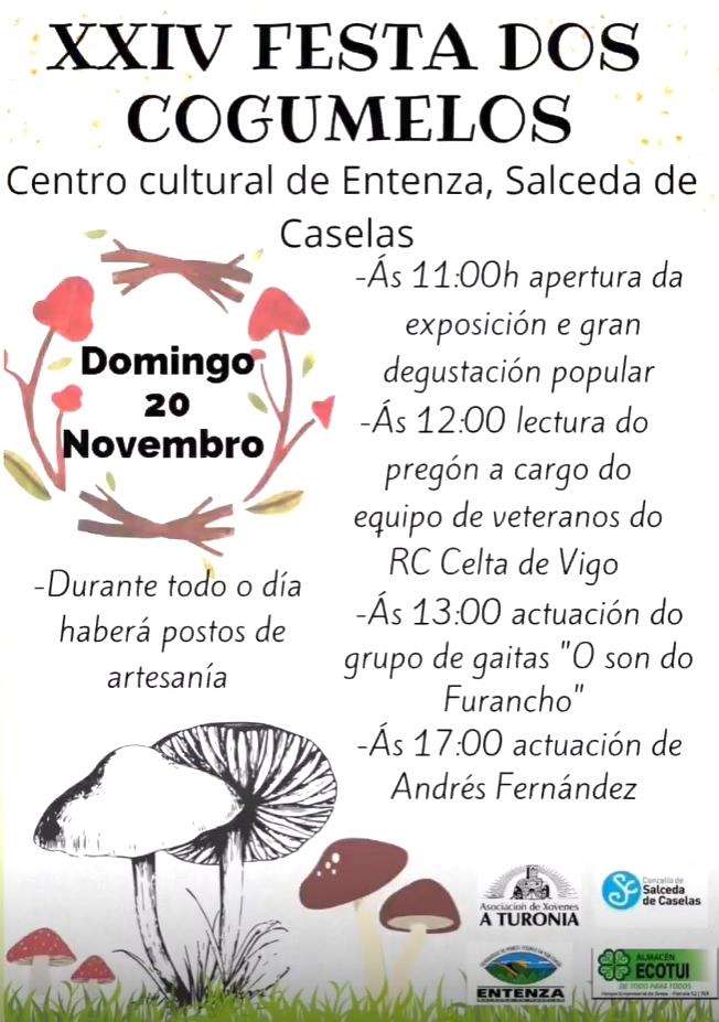 Festa Nos Cogumelos 