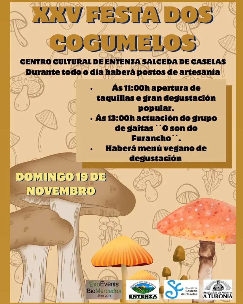 Festa Nos Cogumelos 
