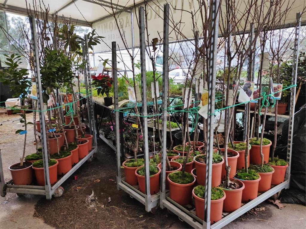 Vivero de Plantas Agromiño en Ourense