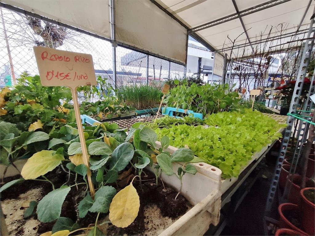 Vivero de Plantas Agromiño en Ourense