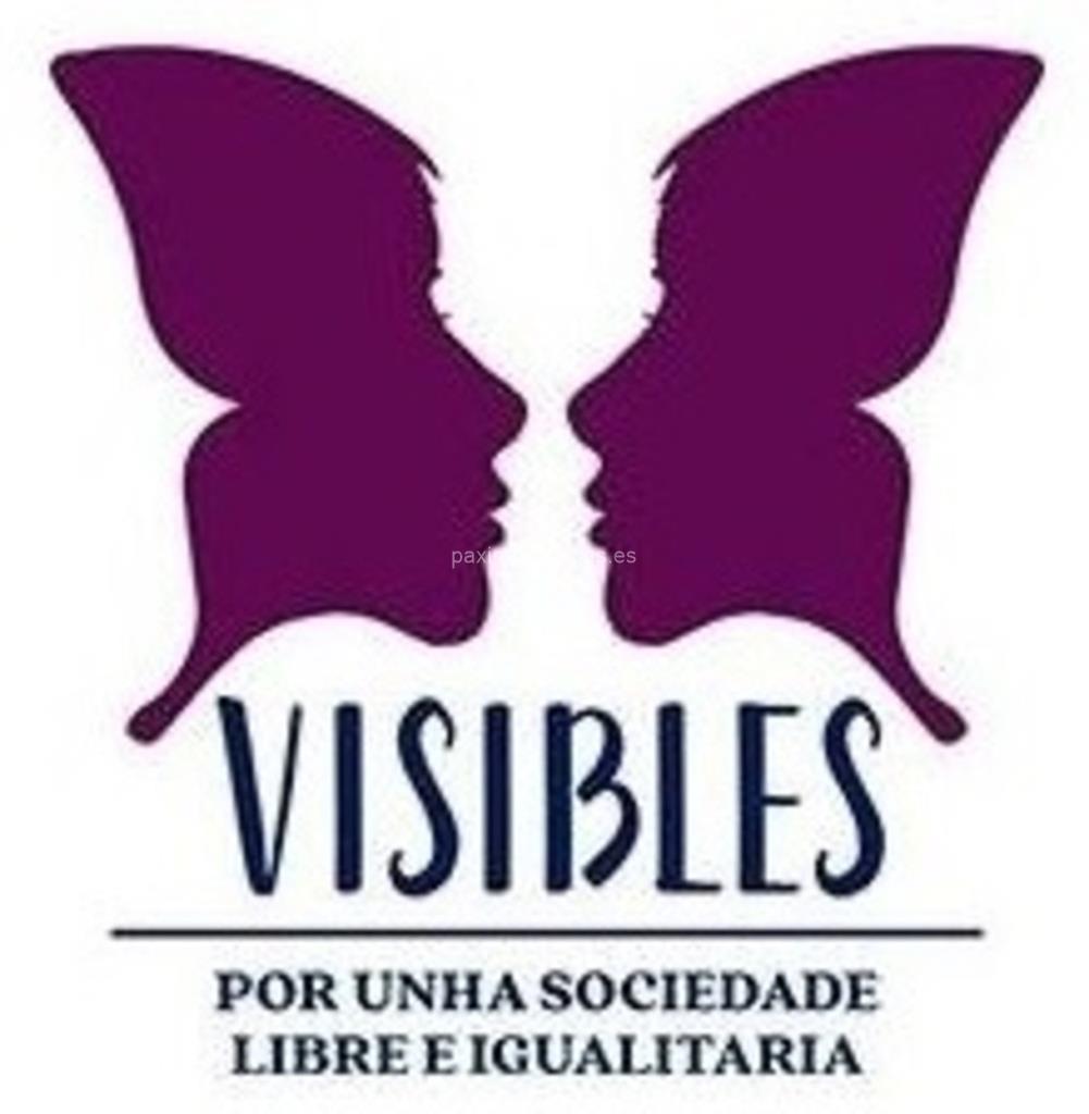 logotipo Asociación Visibles