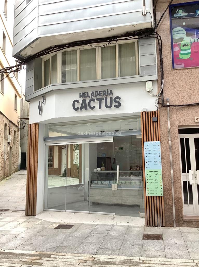 imagen principal Cactus