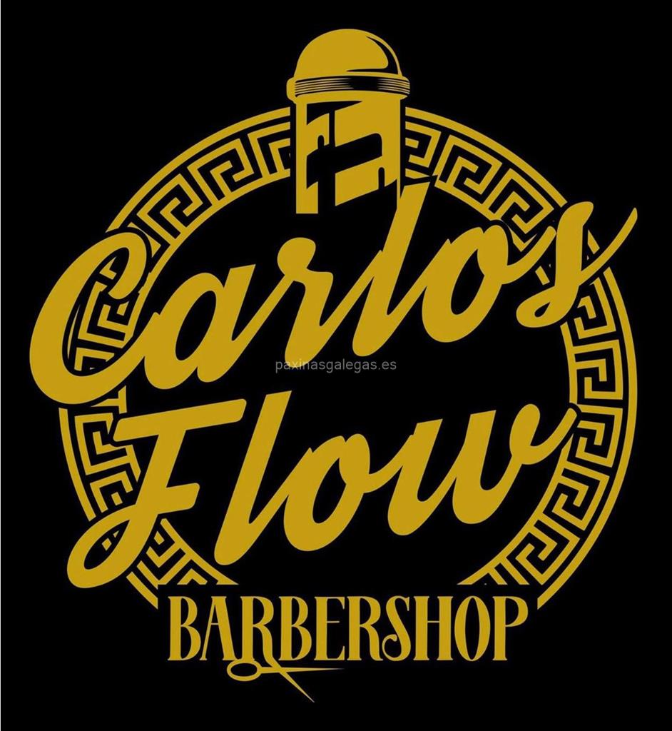 logotipo Carlosflow