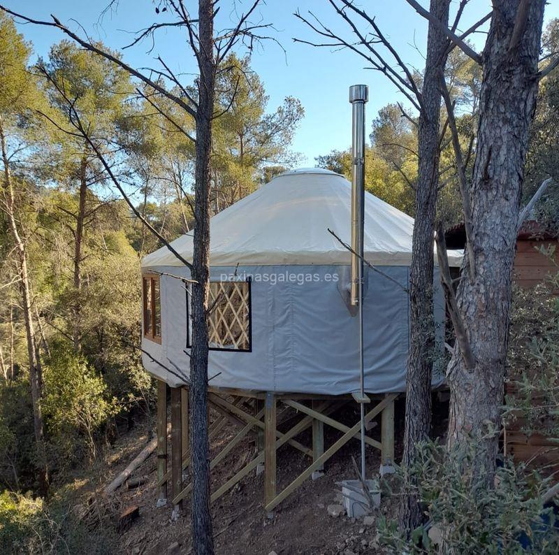 imagen principal Celtic Yurts