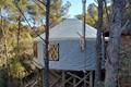 imagen principal Celtic Yurts