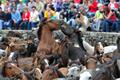 imagen principal Curro de Sabucedo