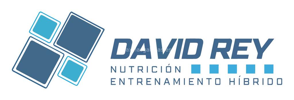 logotipo David Rey Nutrición y Entrenamiento Híbrido