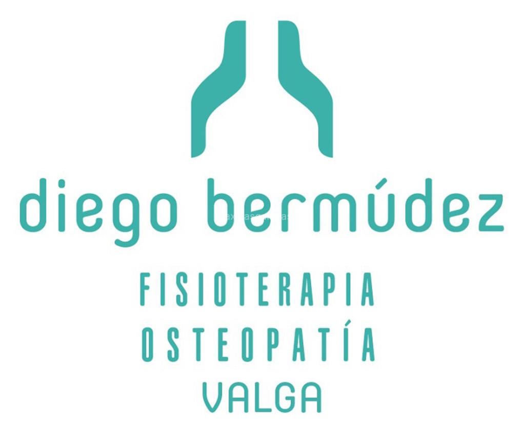 logotipo Fisioterapia e Osteopatía Diego Bermúdez