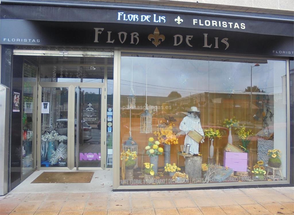 imagen principal Flor de Lis