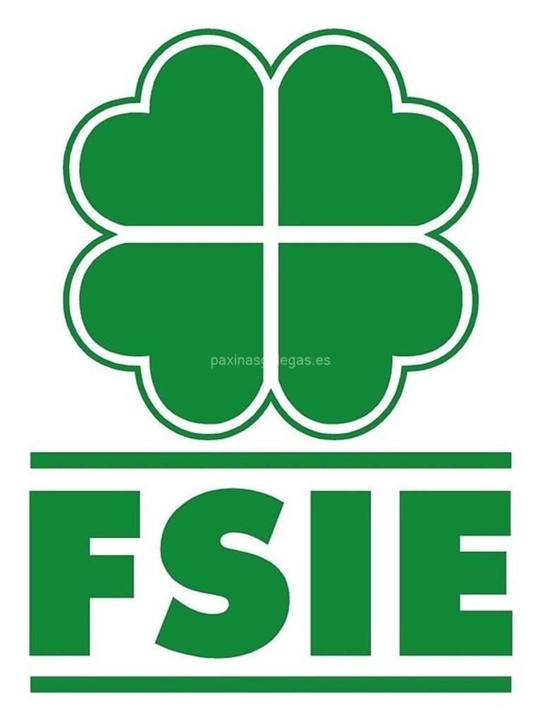 logotipo FSIE Galicia