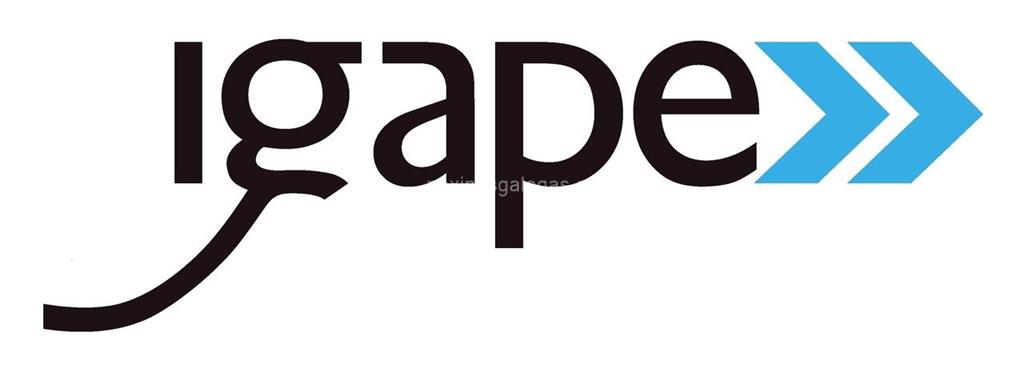 logotipo IGAPE - Instituto Galego de Promoción Económica