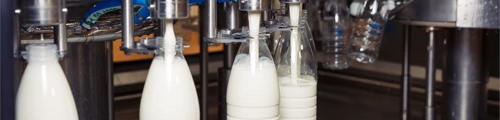 Industrias lácteas en Galicia