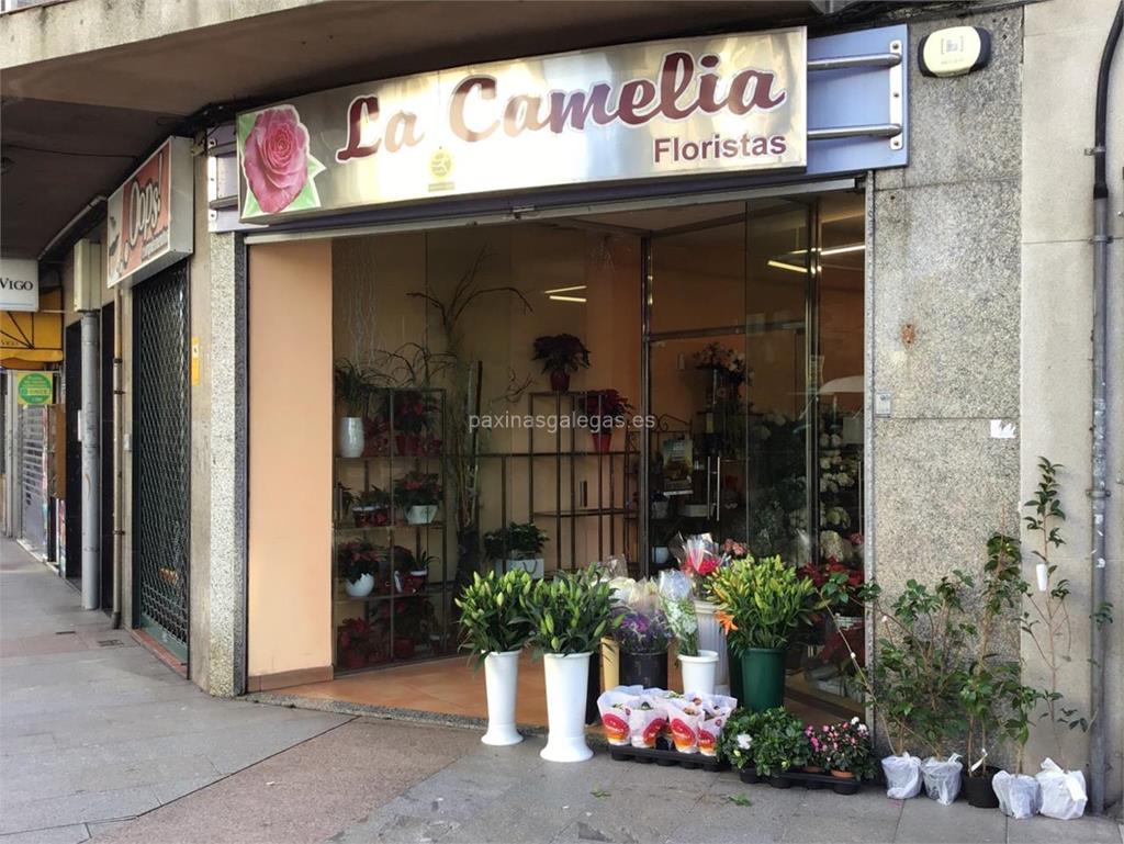 Floristería La Camelia Floristas - Interflora en Vigo