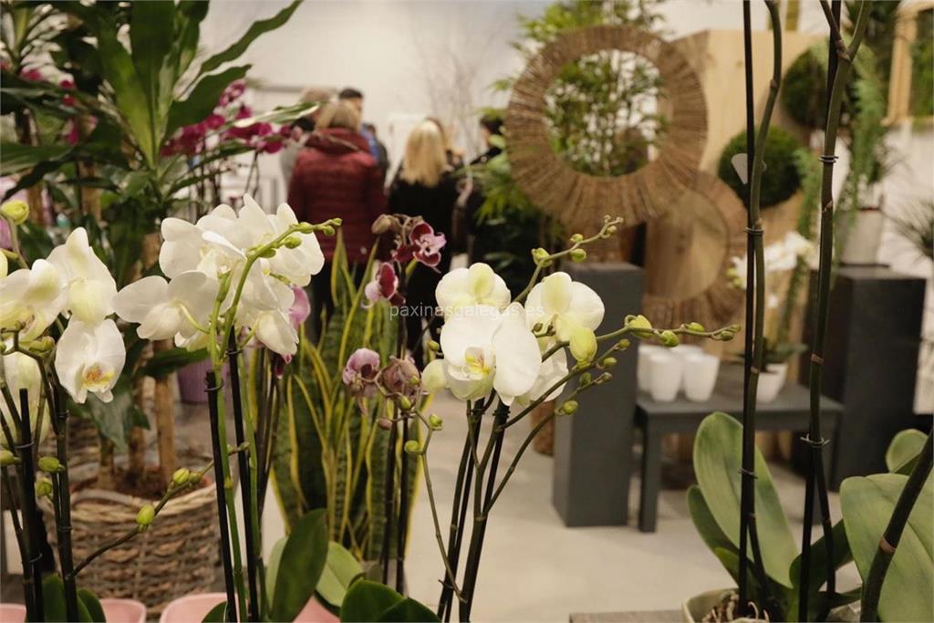 Floristería Lilas Floristas - Interflora en Santiago ()