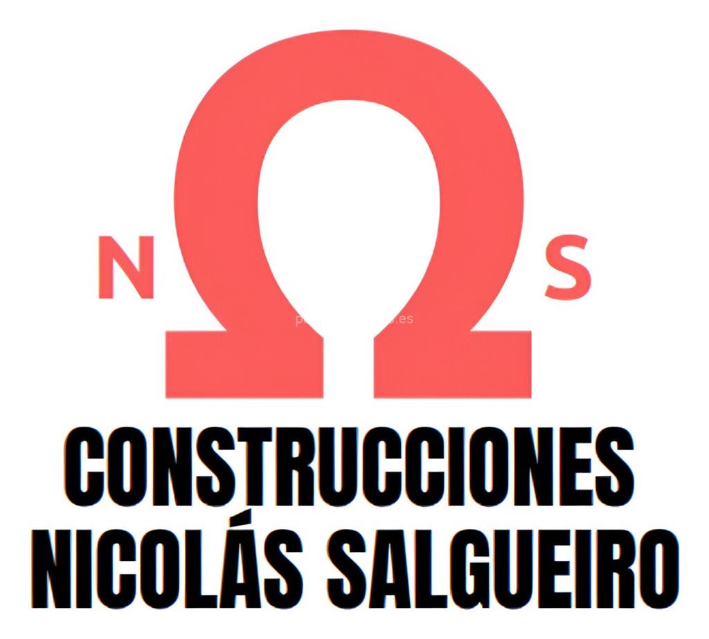 logotipo Nicolás Salgueiro