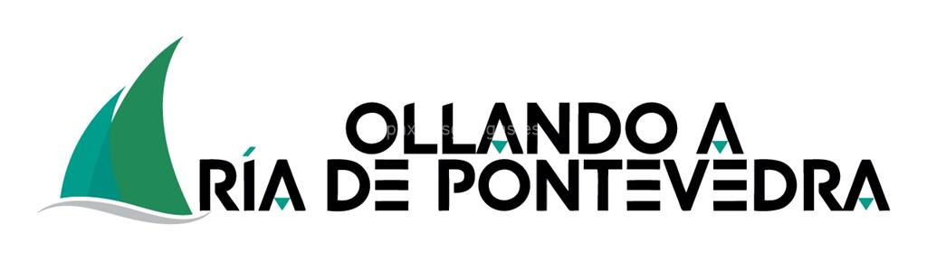 logotipo Ollando a Ría de Pontevedra