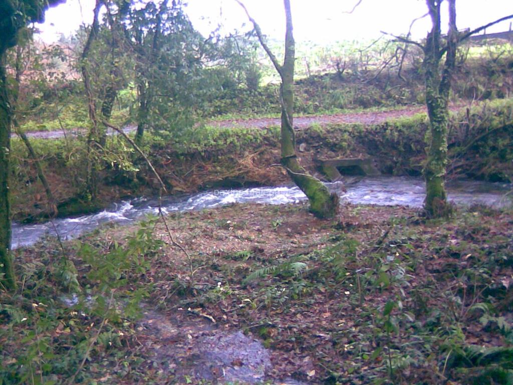 imagen principal Paseo Fluvial Río Sarela