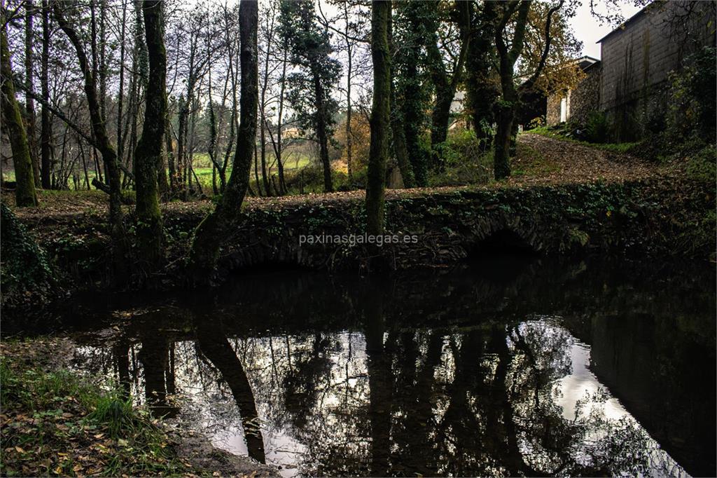 imagen principal Ponte Puñide