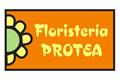 logotipo Protea Arcade - Teleflora